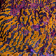 Coral Ark