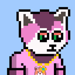 Panda 1041