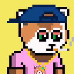 Panda 1138