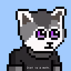 Panda 1029
