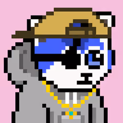 Panda 1216