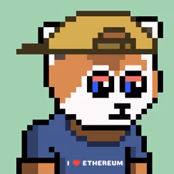 Panda 1212