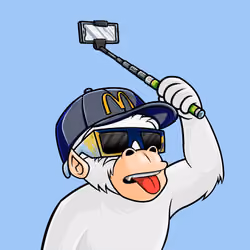 Island Ape #1321