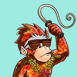Island Ape #622