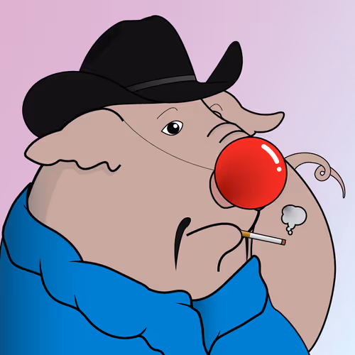 Hey Pigs