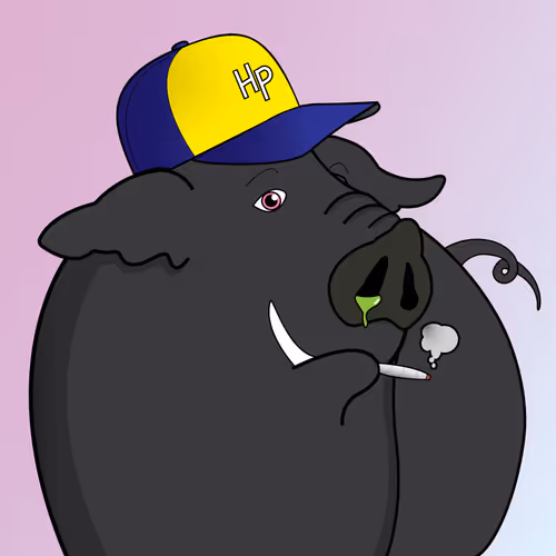 Hey Pigs