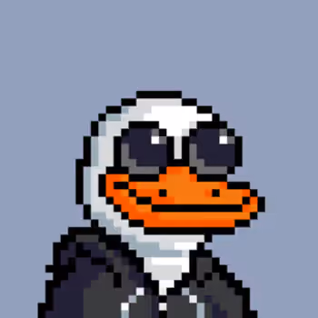 The Ducks #1003