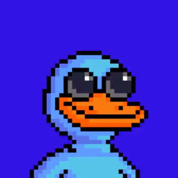 The Ducks 859031867
