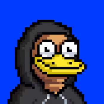 The Ducks 859031867