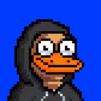The Ducks #1420