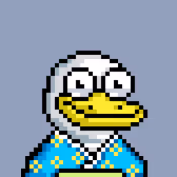 The Ducks 859031867