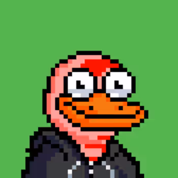 The Ducks 859031867