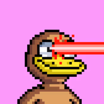 The Ducks 859031867