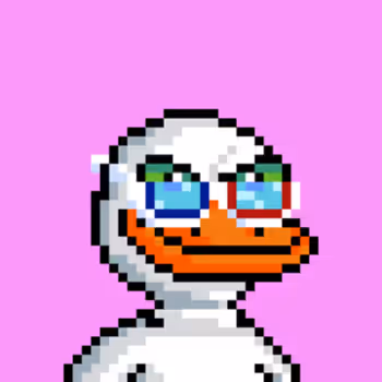 The Ducks 859031867