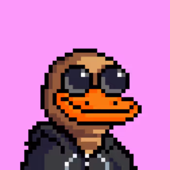 The Ducks 859031867