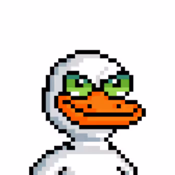 The Ducks 859031867
