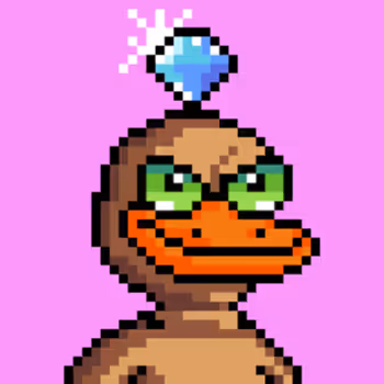 The Ducks 859031867