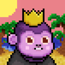 monke #905