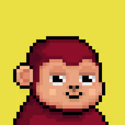 monke #1984