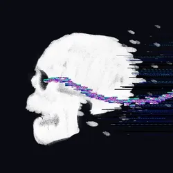 Fester Stream