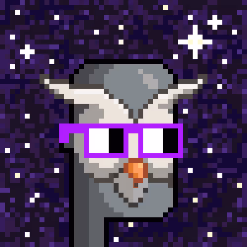 Moonbirdpunks 1000