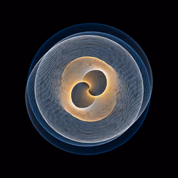 SpiroNFT #88