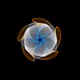 506