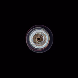 SpiroNFT #186