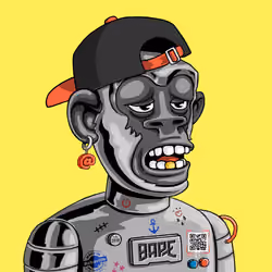 BAPE #2078