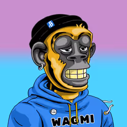 BAPE #1184