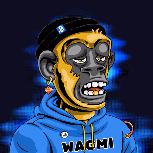 BAPE #5284