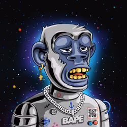BAPE #2269