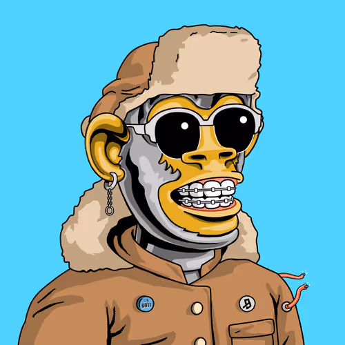 BAPE #11