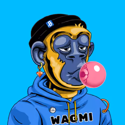 BAPE #2221