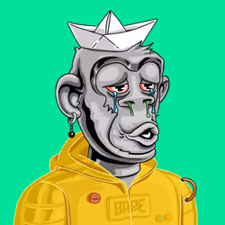 BAPE #1883
