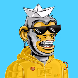 BAPE #1493