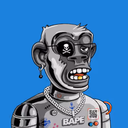 BAPE #2209