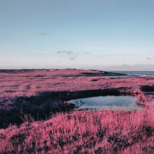 editions - 6Z8KXIfzMS