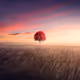 The Lone Journey