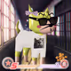 1651