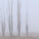 Whispers of Earth