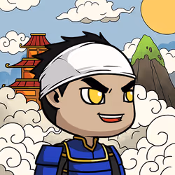 Ninja #675