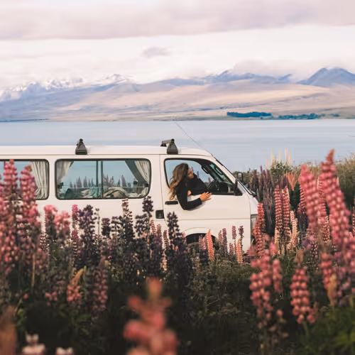 Freedom in the Flowers