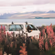 Freedom in the Flowers