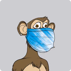 BAYCMask #213