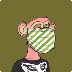BAYCMask #234