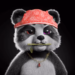 PandaCubz #797