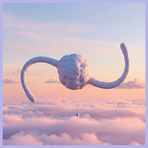 Triptriptrip 1