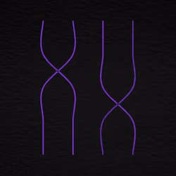 Genesis Blocks #2323
