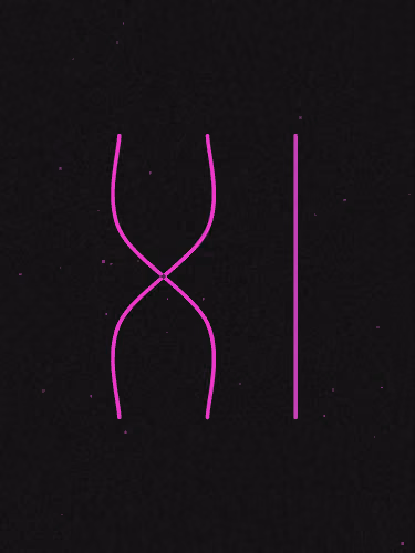 Genesis Blocks #1512